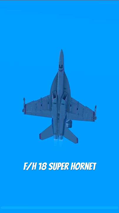 US NAVY F/A-18 Vampire Bat 🦇