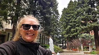 San Francisco Secrets: The Tiny Redwood Grove You’ve Never Heard Of