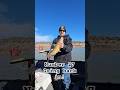 27th fish of the day! #fishing #shortvideo #trackerboats #newmexicofishing