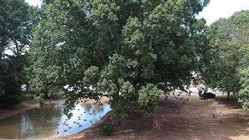 DJI Spark auto return home fail