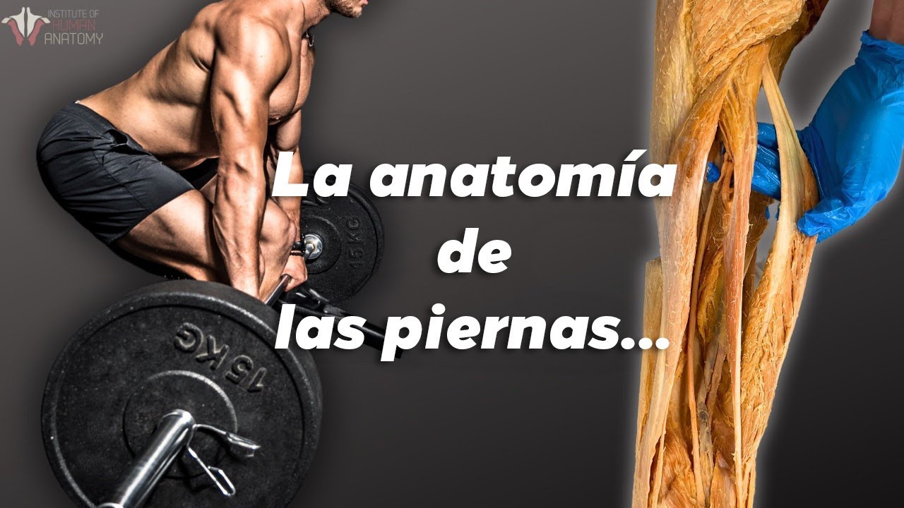 Cual es El Mejor Ejercicio para el Dia De Pierna!