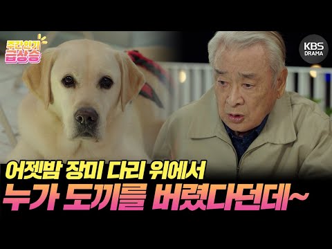 [＃<strong>주간급상승</strong>] 어떤 남자가 도끼를 강물에 버렸다던데~😜 [개소리/Dog Knows Everything] | KBS 방송