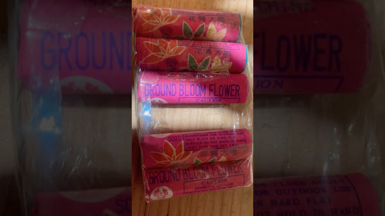 Vintage DOT Class C Ground Bloom Flower Firework - old school! 