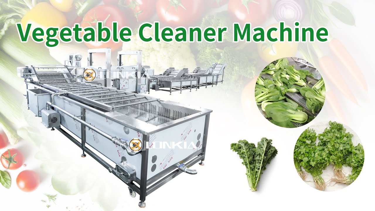 Efficient Vegetable Cleaner Machine For Gentle & Effective Leafy Greens Washing