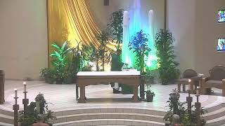 8 a.m. Mass, Monday in the Sixteenth Week of Ordinary Time, July 20, 2026