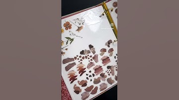 Ephemera & Die Cut Storage Solution!