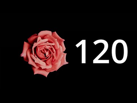 ELEGANT TIMER 120 SECONDS