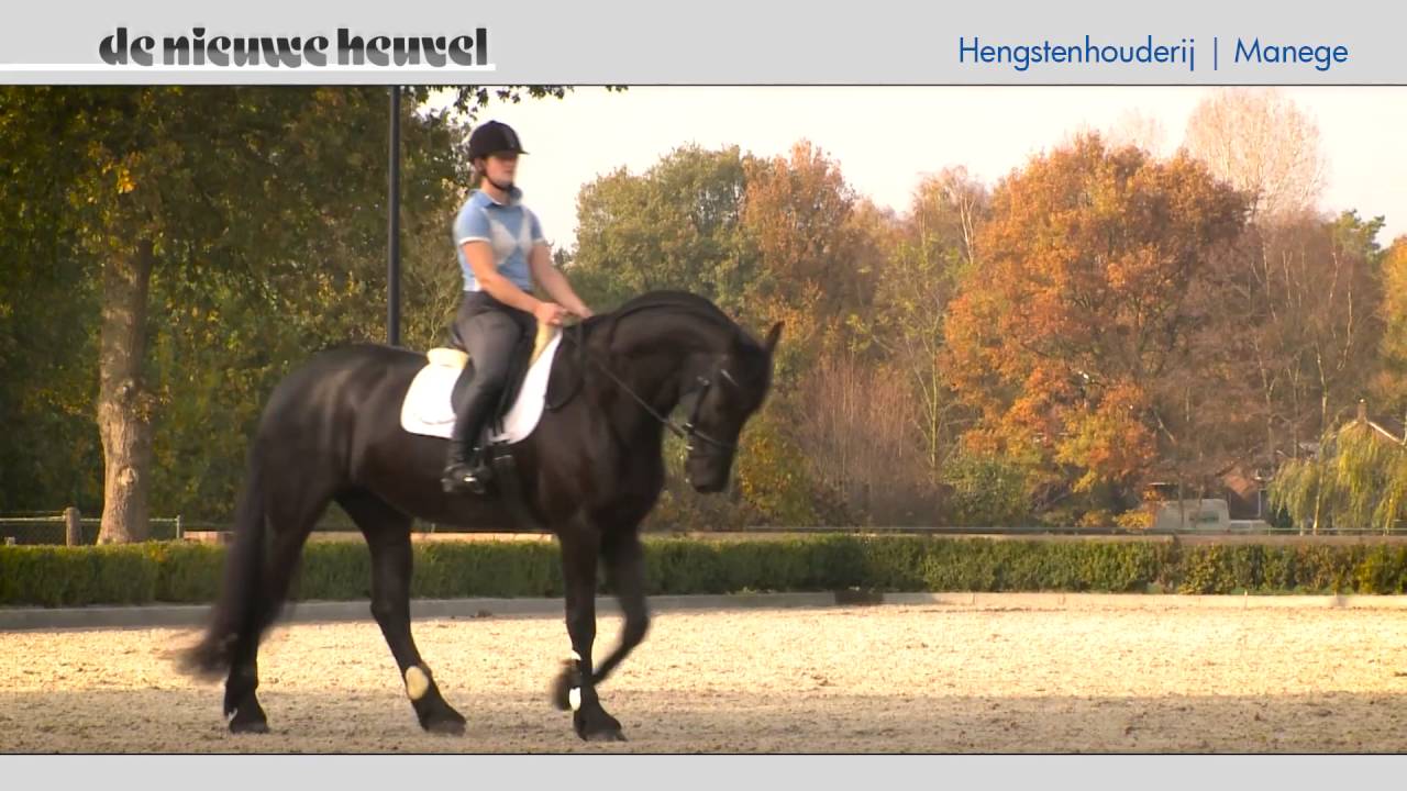 Bedrijfsfilm De Nieuwe Heuvel 2016, Lunteren, Gelderland.