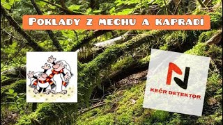 Detektor kovů - Poklady z mechu a kapradí