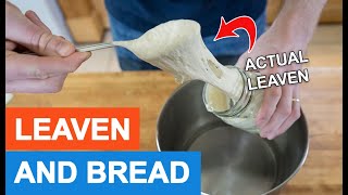 What Is Actual Leaven Scripture Talks About?