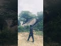 #trendingshorts #video #panjabisong