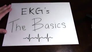 EKG: The Basics EKG: The Basics