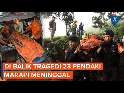 Di Balik Tragedi 23 Pendaki Meninggal Saat Erupsi Gunung Marapi...