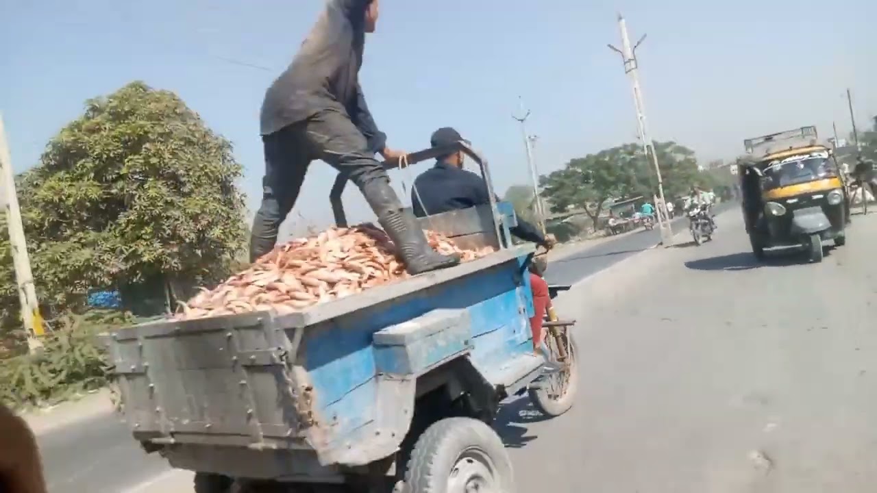 Veraval To Somnath Temple By Road Travel