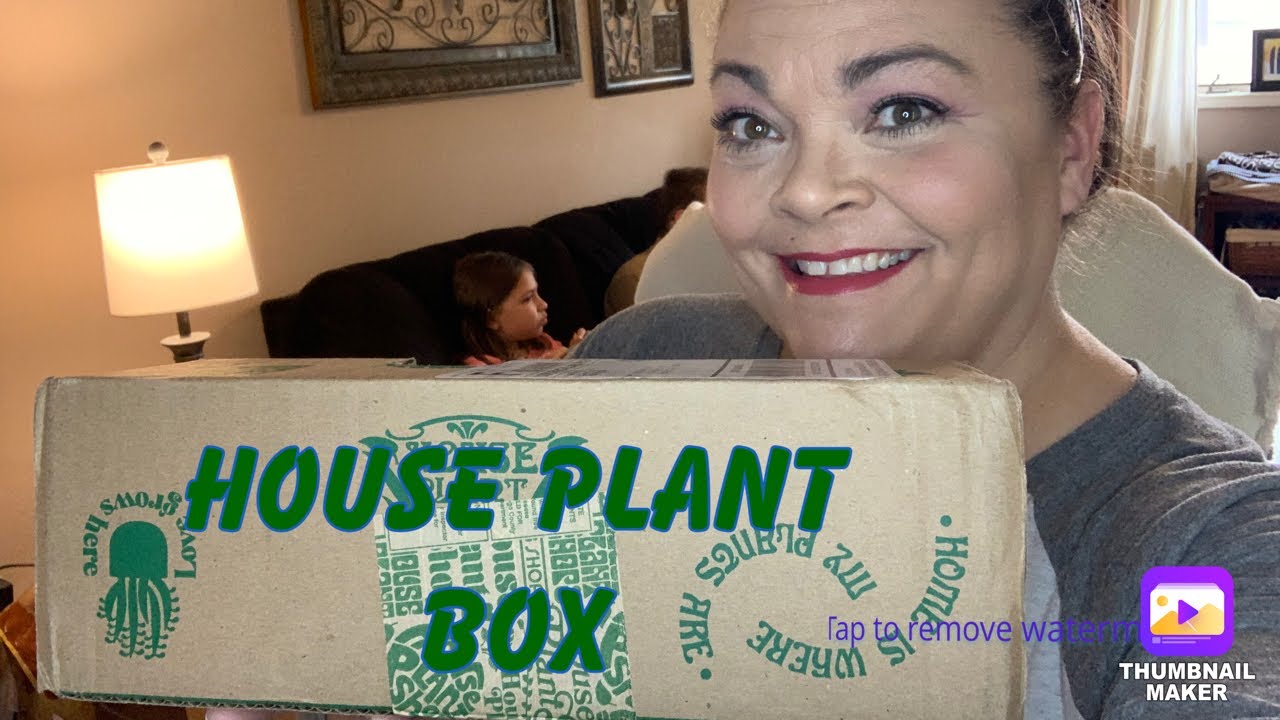 House Plant Box “Indoor Plant” April 2021 YouTube