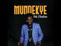 Ninyenda Nkureebe Mp3 Song