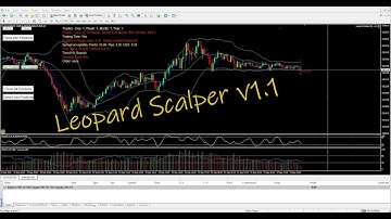 Leopard Scalper EA : Finally finished my Trading robot! Some features explained.