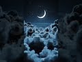 New song #viral