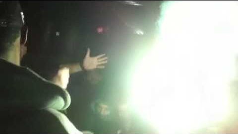 Prasina gualia gist 13