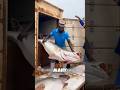 Why Is This Giant Fish in Uganda So Expensive? #UgandaFishing #shortsvideos