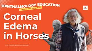 Corneal Edema in Horses: Early Signs of Immune-Mediated Keratitis