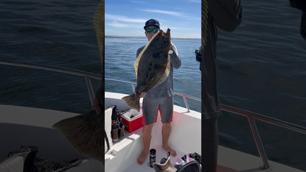 San Diego Bay Halibut on Fire!