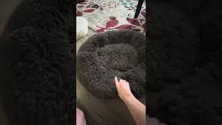 MFOX Calming Dog Bed (XL) REVIEW