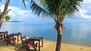 Paradise Beach Resort Samui, Koh Samui, Thailand | Travel With Advika