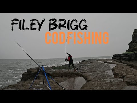 filey brigg lure fishing Frenzy Unrigged Flying Fish Lures Pink Silver alone bait Hunting Wrasse, Bass & Mackerel