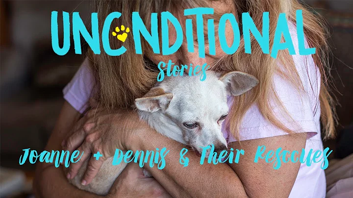 Unconditional Stories: Joann + Dennis & Their Resc...