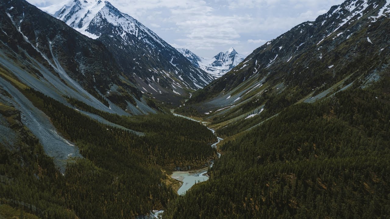 The Lost Dragon - Gratitude (Official Music Video)