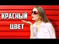 Влияние цвета на человека | Психология красного цвета.