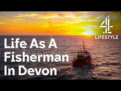 Videó: Mennyit keres egy vonóhálós halász az Egyesült Királyságban?
