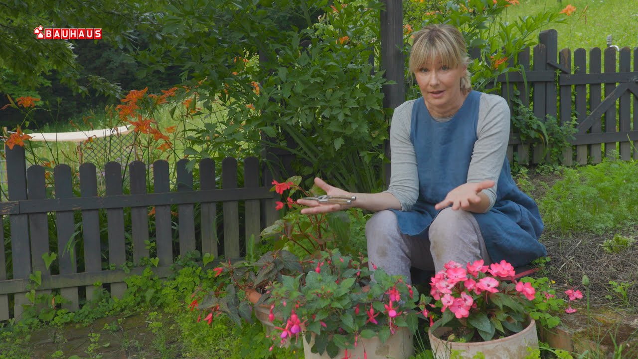 Škola vrtlarstva - balkonsko cvijeće za sjenu