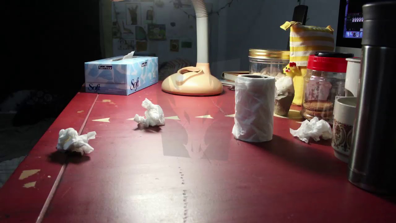 Stop Motion/ The One Who Got Away /Dragonframe software trial