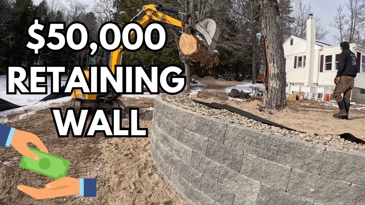 TREE TROUBLE: HOW A $50,000 RETAINING WALL CHANGES EVERYTHING