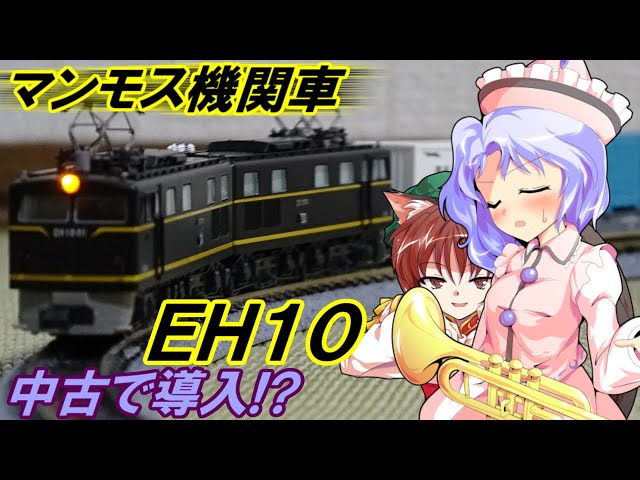 A mammoth train with a strong presence! I bought a KATO EH10