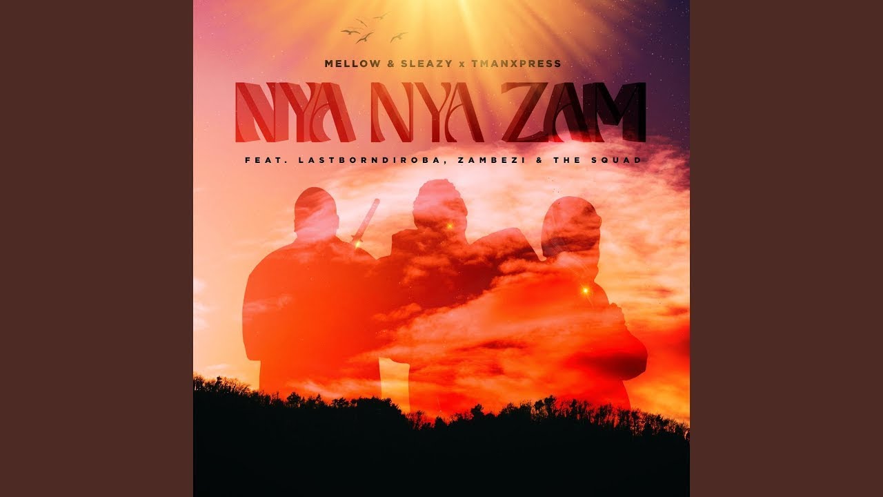 Mellow & Sleazy, Tman Xpress - Nya Nya Zam (Official Audio) feat. LastBornDiroba, Zambezi, The Squad