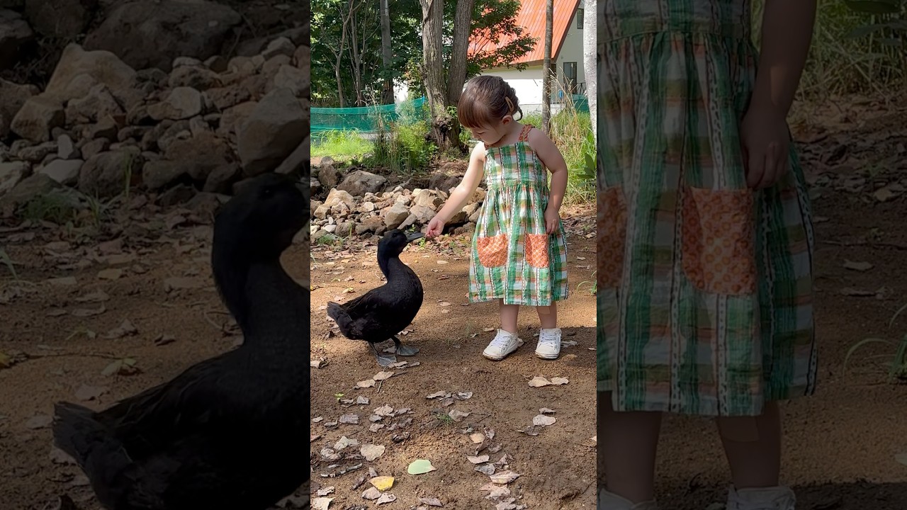 Getting a little nibble from Waffle 🌼🥰