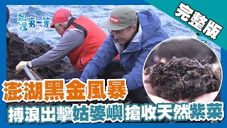 澎湖【海上黑金風暴 搏浪出擊 搶收另類年終也紫菜】 │2019.02.26│《台灣第一等》296集完整版
