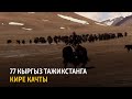 77 кыргыз Тажикстанга кире качты | БҮГҮН АЗАТТЫКТА | 14.07.21