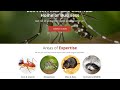 Kingdom Web Pros: Top SEO &amp; Affordable Web Design Services Near Augusta, GA