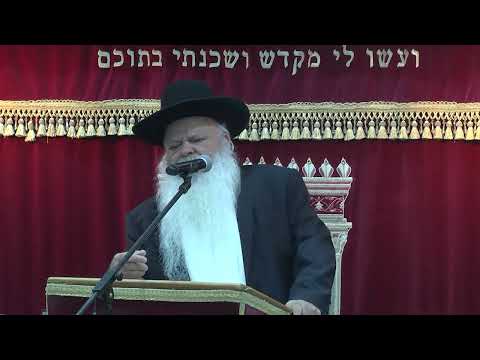 שלטון של רשעים | קצרים | הרב דניאל זר