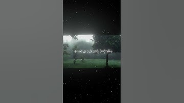 سورة الأحزاب|70ـ73|القارئ:#محمد_اللحيدان #قران #quran #راحة_نفسية #قران_كريم#تلاوة_هادئة#تلاوة_خاشعة