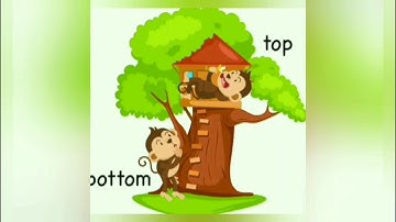 class 1, chp 1 shapes & space  (NCERT), PART3/ DIGNITY TUTORIALS.