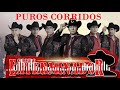Grupo Exterminador, Los Originales De San Juan, Los Dos Carnales ||PUROS CORRIDOS MIX