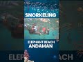 Snorkeling Experience at Elephant Beach, Andaman