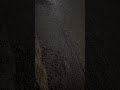 BERGUV 2025-01-18 - Linköping
