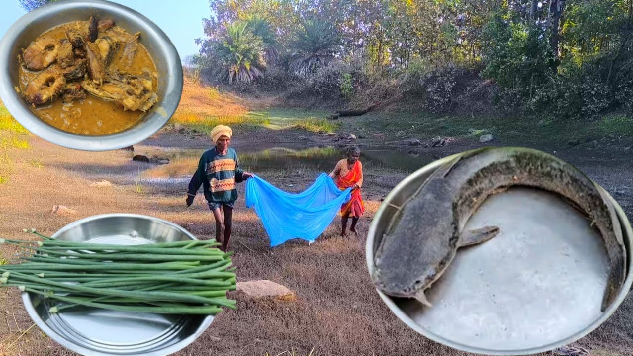 rural old grandma catching MAGUR FISH from pond and cooking ||  traditional lifestyle of old COUPLE 