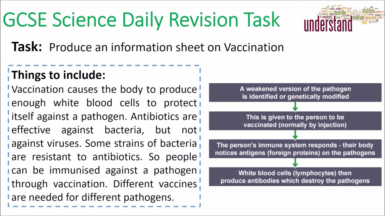 GCSE Science Daily Revision Task 13: Vaccination ks430 internorm